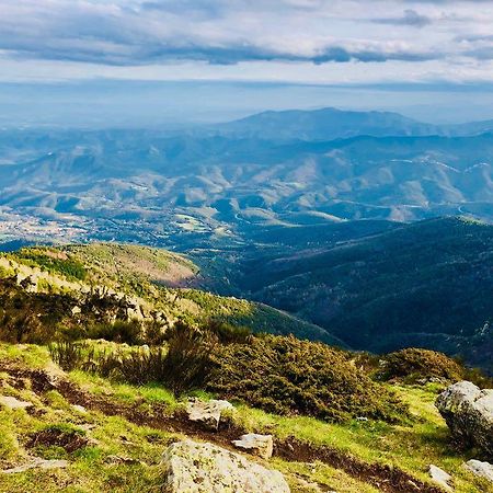Hotel La Fonda Dels Pirineus Maçanet de Cabrenys Eksteriør billede